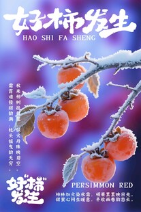 好柿发生创意海报