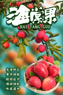 海棠果