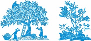 蓝色树木剪影图案
