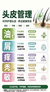 头皮管理科普宣传海报