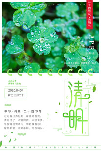 清明节气清新海报