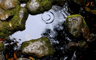 溪面泛起涟漪