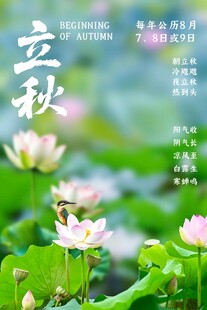 立秋荷塘节气海报