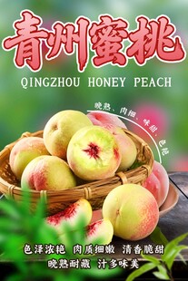 青州蜜桃宣传海报
