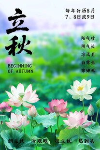 立秋节气荷塘主题海报