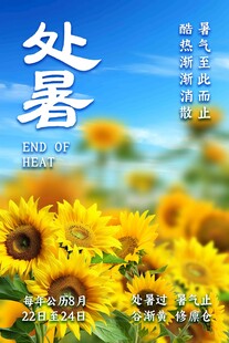 处暑向日葵节气海报