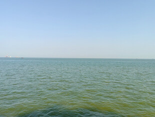 晴空下的平静海面