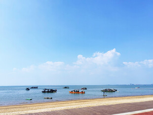 清新夏日海边风光