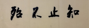 知止不殆 杨克东书法作品