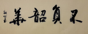 不负韶华 杨克东书法作品