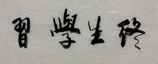 终生学习 杨克东书法作品