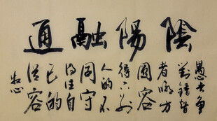 阴阳融通 杨克东书法作品