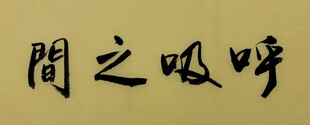 呼吸之间 杨克东书法作品
