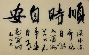 顺时自安 杨克东书法作品