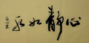心静如水 杨克东书法作品