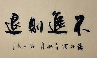 不进则退 杨克东书法作品