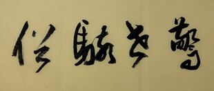 惊世骇俗 杨克东书法作品