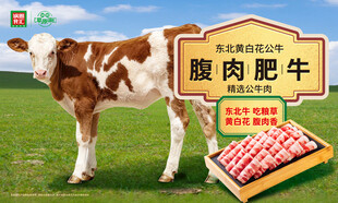 腹肉肥牛产品宣传海报