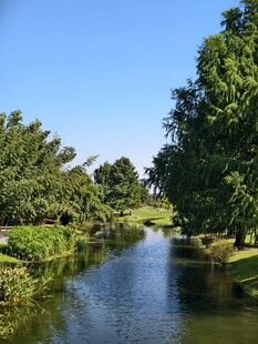 秋日植物园