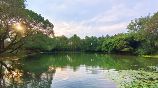 湖畔山林自然风景