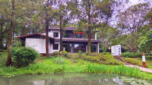 林间临水小屋