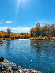 阿尔山秋日河谷郊野风光