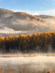 秋日山林晨雾美景