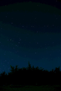 暗蓝夜空郊野剪影
