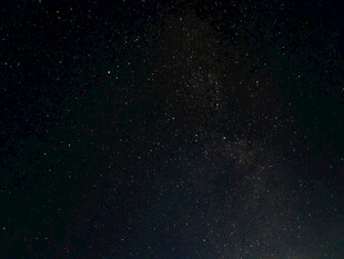 深夜暗调朦胧树影