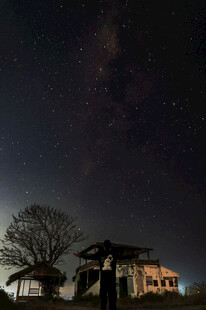 郊外夜景小屋树影
