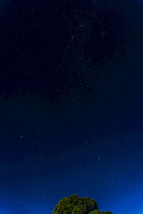 深蓝夜空暮色树影