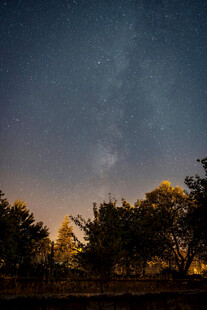 暮色郊野树林夜空