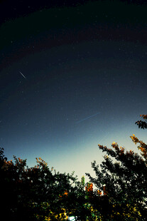 暮色夜空树影小景