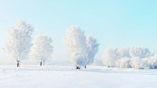 冬日雾凇雪原美景