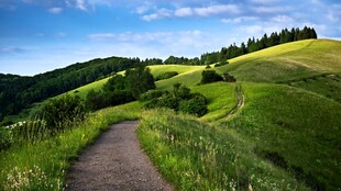 郊野丘陵草地小径风光