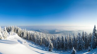 冬日雪原林海晴空美景