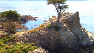 海岸崖边自然风光