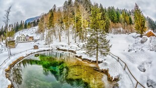 冬日雪林水潭水彩风景