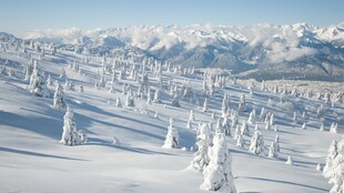 冬日雪原雪山风光