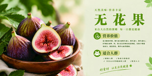 无花果鲜果宣传海报