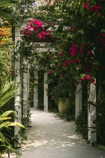 清幽花廊步道