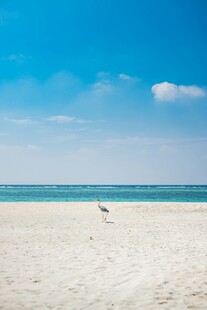 清新夏日海滩风光