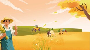 秋日麦田丰收劳作场景