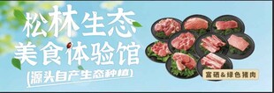 松林 生态 绿色 猪肉宣传海报