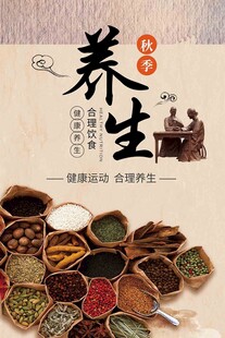 传统中医养生海报