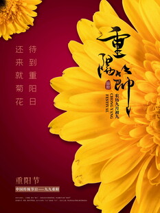 重阳节菊花主题海报