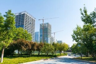 城市绿地与在建高楼