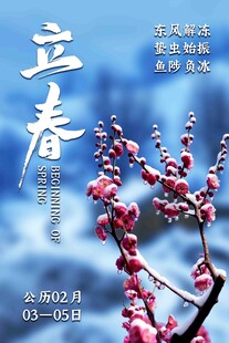 立春节气花枝海报