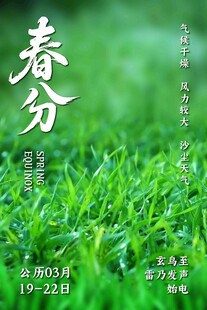 春分节气清新海报