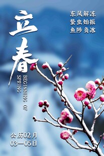 立春节气红梅主题海报